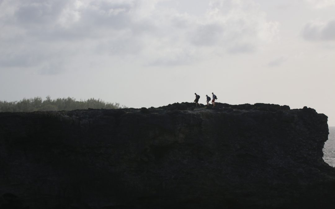 Views – Animal Flower Cave – 3