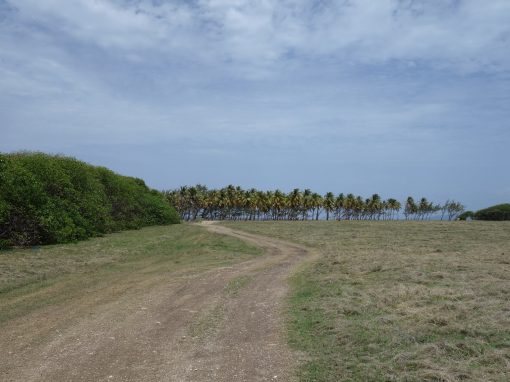Rugged Barbados – 5
