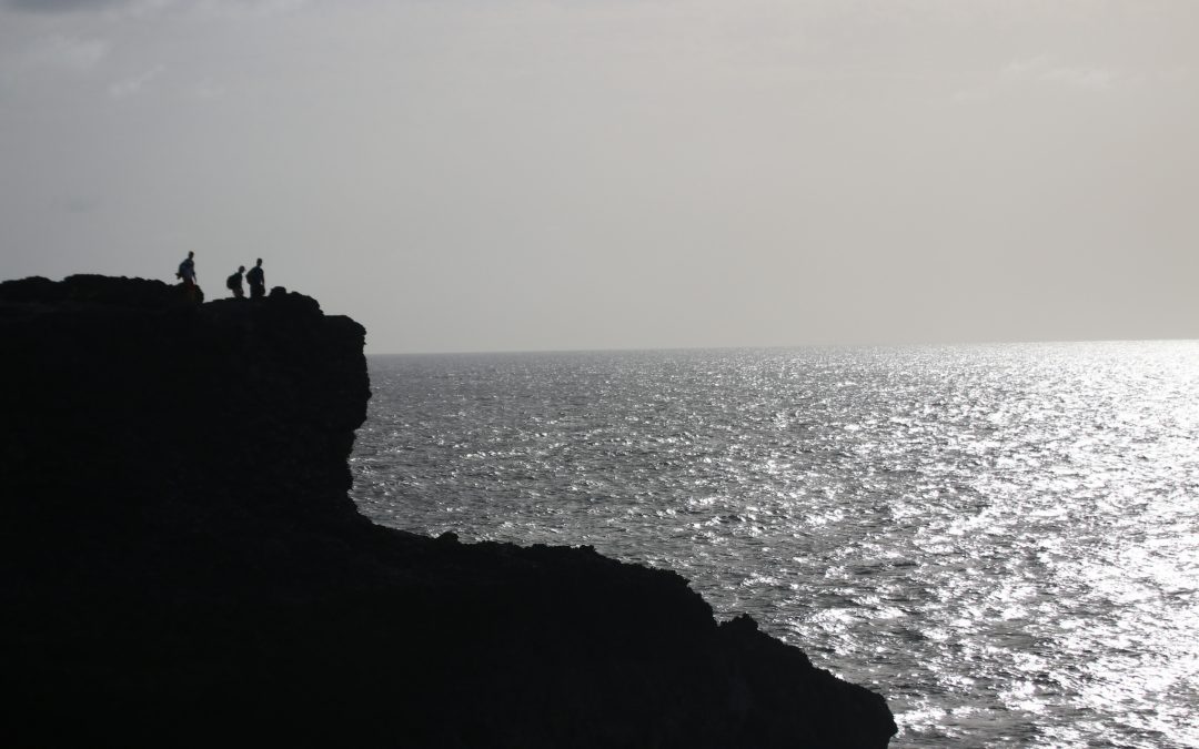 Views – Animal Flower Cave – 1