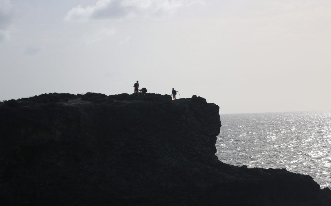 Views – Animal Flower Cave – 2