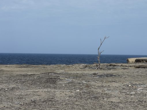 Rugged Barbados – 4