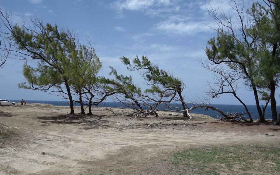 Rugged Barbados – May 2018