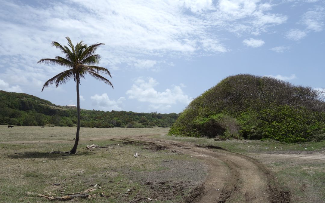 Rugged Barbados – 3