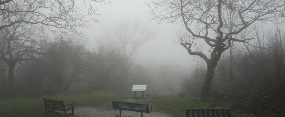 Misty – One tree Hill