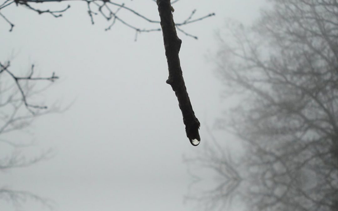 Raindrop – One Tree Hill